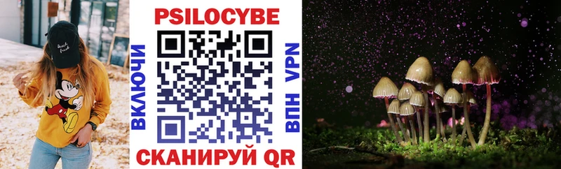MEGA tor  Удомля  Галлюциногенные грибы Cubensis  где купить наркоту 